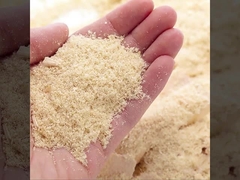 WPC ha scanalato nella vendita diretta della fabbrica dei pannelli di parete a prova di fuoco ed a prova d'umidità