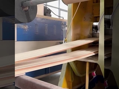 Impermeabile di parete di WPC della fabbrica insonorizzata dei pannelli ed a prova d'umidità diretti