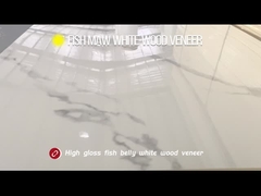 Pannelli per pareti interni in marmo in PET