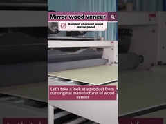 Prodotto in vendita a caldo 5MM 8MM Legno Grano Legno Veneer Bambù Carbone di legno Pannello da parete PVC
