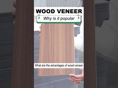 Il legno solido del grano di legno di larghezza della decorazione interna 1.22m impiallaccia il pannello di parete del PVC