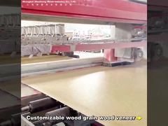 2.44m Bamboo Carbone di Parete Modern Light Luxury Customized Lunghezza PVC Carbon Crystal Wallboard