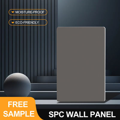 Pannello SPC 600*2440*4mm impermeabile in legno-plastico composito Eco-friendly Matte Marble Veneer Stylish And High-End Interior Decorative Wall Panels For Hotel Bathroom